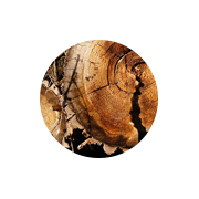 Holzindustrie icon